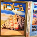 가-50 | 용산 아이파크몰 지브리 전시회! 50% 할인 혜택 및 도슨트 감동 후기(서울 가볼만한곳 추천)