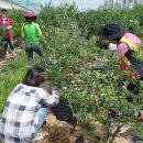 해밀농장 이미지