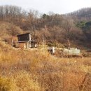 (079)청도 전원주택지 매매 동네 뒤 전망좋은 남향토지 토목석축 완료 1억7백(풍각면 수월리) 이미지