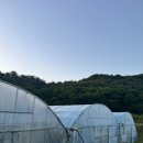 토토농장 네이버블로그