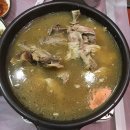 산호황칠나무농원