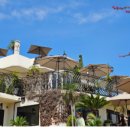 바람아래솔 이미지