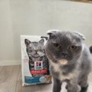 주자묘 공중화장실 | [협찬] 힐스 인도어치킨 고양이사료 솔직 후기