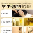 파라디아성형외과의원 이미지