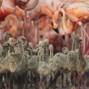 코끼리 환경 이미지