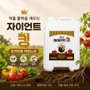 상부농장(1농장), 이슬농장 | 2026년7월4일 부건농장 일기/장마전 고추 관리중 병충해방제의 중요성/무름병,탄저병,담배나방/칼슘과...