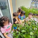 등촌유치원 이미지