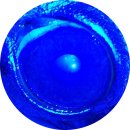 이루동물병원 이미지