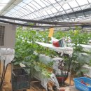 용수빌딩 이미지