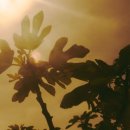 이솝하우스 이미지