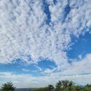 송라 아쿠아 이미지