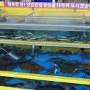 거성2호 이미지