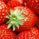 영구 딸기 이미지