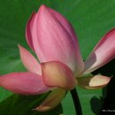 주천중학교 이미지