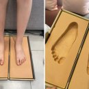 (주)알푸스 이미지