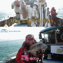 도시어부 MBN