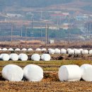 곤의농장 이미지