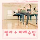 [서부] 소도구 필라테스 A(2025) | 율전동필라테스 - 홍메디월필라테스 기구필라+바레운동 수업