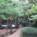 산새북카페 | 울창한 수목 들꽃 새소리, 검덕산 숲길 이야기