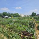 의왕농장 이미지