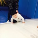 피코아일랜드 후기