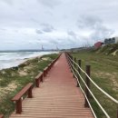 바닷가 산책 이미지