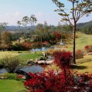 블루헤런G.C 이미지