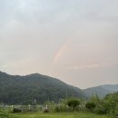 사계절할인마트 - 금천구 시흥대로142길 24 | 사계절할인마트