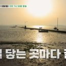서해해물손칼국수