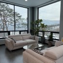 주식회사 패투헤븐 | 원주 반려동물 장례식장 패투헤븐에서 솜이를 보내며.. 강아지 장례 비용, 절차