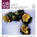 대림방역 - 사하구 하신번영로 135 | 대림방역