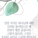 성경 지식 이미지