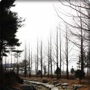 세림원 이미지