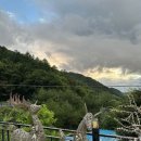 나무향가득펜션 이미지