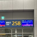 New 한국인이 많이 하는 영어 실수 (2) | 260110-11 엑디즈 <The New Xcene> 오사카