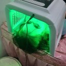 선학역 2번출구 | 인천피부관리 선학동잡티관리 끌레르뷰티 10일차 후기