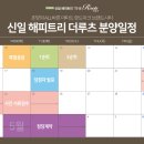 루츠 이미지