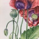 보태니컬아트 이미지