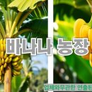 선자 농장 이미지