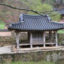 대숲향기 이미지