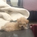 머털도사 - 부평구 삼산동 | 머털도사