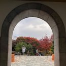 시립미술관(비엔날레주차장) 이미지