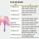 우리유니콘