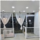 그루밍샵 이미지