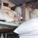 백인농장 이미지