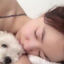 화영이네 이미지