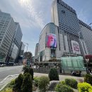 명동 롯데 백화점 외관의 미디어 파사드 설치로 생길 안전문제에 대해 챗돌과 나눈 대화들(서울시청과 서울경찰청에 신고함) 이미지