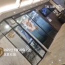 필이비인후과의원 | 탄방동 코뿔소이비인후과의원 6회차 - 비염