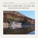 (주)화진관광여행사 | 유후인 교통 매진? 교통+ 관광 한 번에 해결한 내돈내산 버스투어 후기
