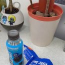 서울과학기술대학교 미래관 이미지